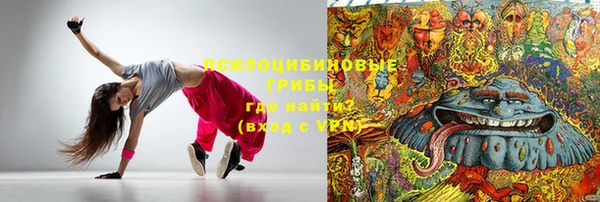 дмт Белокуриха
