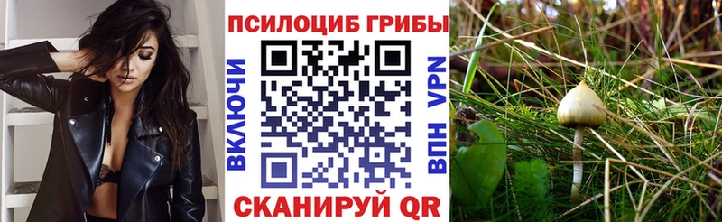 Купить закладки  Новопавловск  Псилоцибиновые грибы мухоморы 